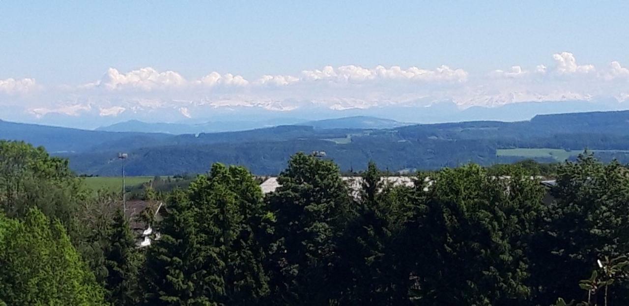Landhotel Panoramablick Gorwihl Bagian luar foto